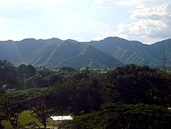 Fertiles Valles de El Limón.jpg