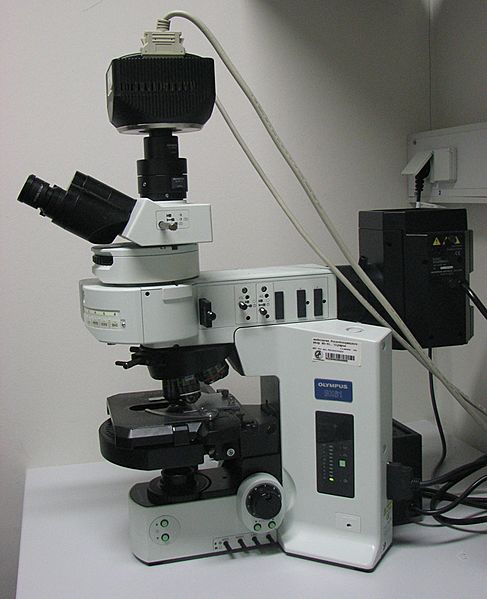 Fluorescence microscop