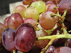 Grapes Angoor