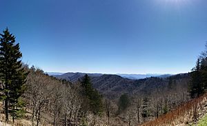 Archivo:Great-Smoky-Mountains Panorama
