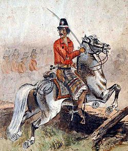 Archivo:Guerra de la Triple Alianza - Soldado de caballería paraguaya con traje especial, Acuarela de J.I Garmendia