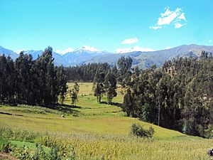 Archivo:Huaraz-prairie