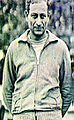 Imre Hirschl