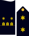 Infmaridivi19