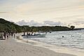 Isla Iguana Pma