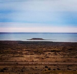 Archivo:Isla de los Pajaros, Peninsula de Valdez