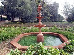 Jardins del Doctor Pla i Armengol 10