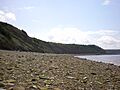 Joggins Fossil Cliffs