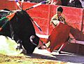 Joselito passe estribo2++