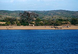 Archivo:Lake malawi mozambico coast