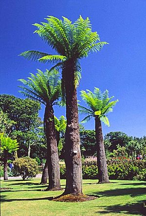 Archivo:Logan Botanic Garden