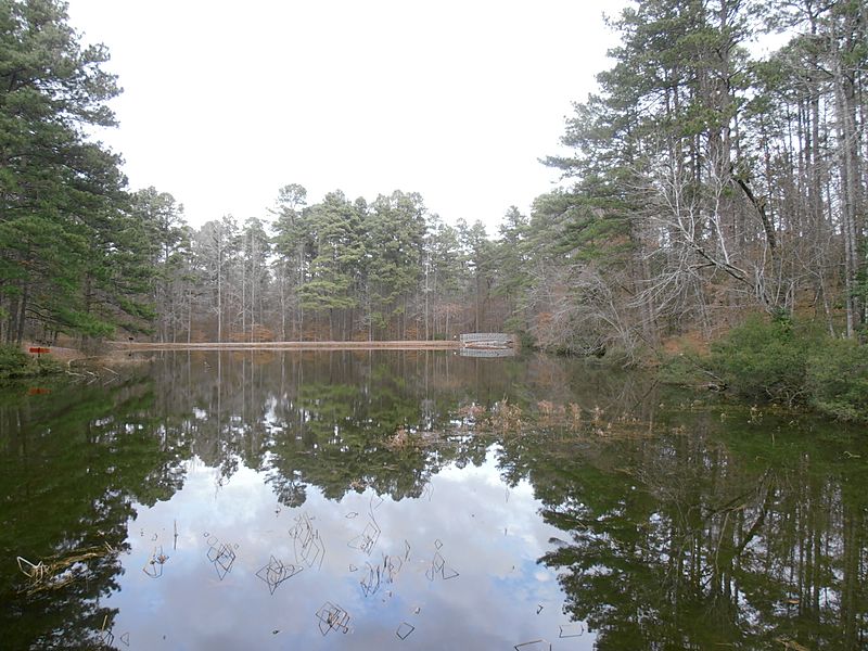 Escape to Serenity: Arkansas' Hidden Gem, Logoly State Park