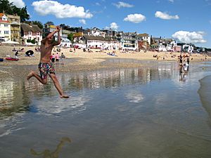 Archivo:Lyme Regis beach 05