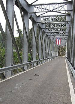 Manatí Bridge at Mata de Plátano (3).jpg