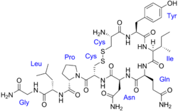 Oxytocin with labels.png