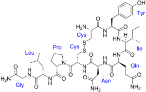 Oxytocin with labels.png