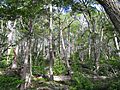 Parc national de terre de feu