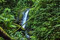 Parque Nacional Montaña de Comayagua, PANACOMA. Honduras