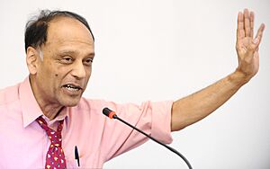 Archivo:Partha Dasgupta - Trento 2013 02