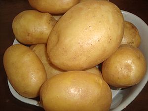 Archivo:Patatas de cultivo ecológico, agricultura familiar