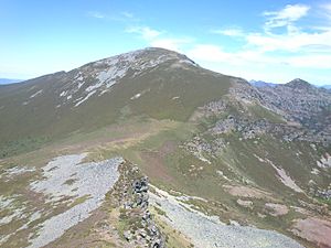 Archivo:Pico cuiña