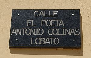 Archivo:Placa Antonio Colinas Lobato Fuente Encalada