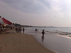 Playa de Melaque - panoramio.jpg