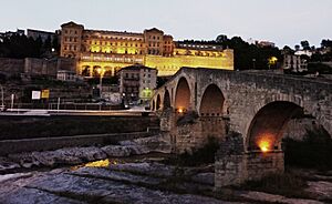 Archivo:Pont Vell (Manresa) - 1