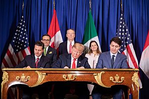 Archivo:President Donald J. Trump at the G20 Summit (44300765490)