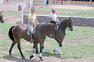 Archivo:President Ronald Reagan riding horses with President Joao baptista de Oliveira Figueiredo of Brazil