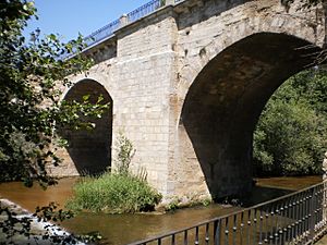 Archivo:Puente carrión condes