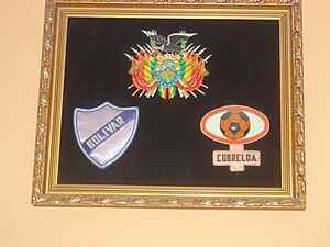 Archivo:REBOLCOB
