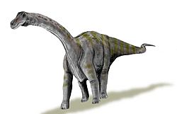 Archivo:Rapetosaurus BW