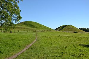 Archivo:Royal Mounds of Gamla Uppsala (by Pudelek)