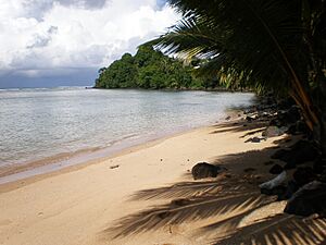 Archivo:Samoa beach 1