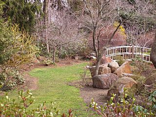 Sayen Park Botanical Garden - Japanese bridge.JPG