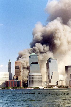 Archivo:September 11 2001 just collapsed