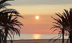 Archivo:Sun Gandia Beach