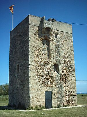 Archivo:Torre vigia del Mar (Borriana)