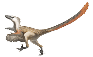 Archivo:Velociraptor Restoration
