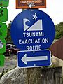 Virgin Gorda, British Virgin Islands — Tsunami evacuation route (sign 2015)