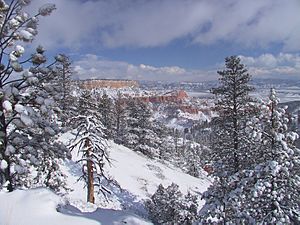 Archivo:Winter storm at Bryce Canyon