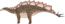Wuerhosaurus homheni.png