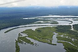 Amazon17 (5641020319).jpg
