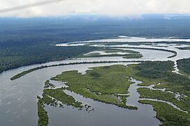 Amazon17 (5641020319).jpg