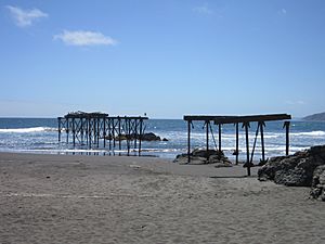 Archivo:Antiguo muelle de Llico