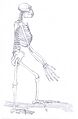 Ardipithecus Gesamt