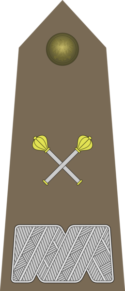 Army-POL-OF-10