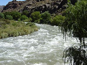 Archivo:Atuel River