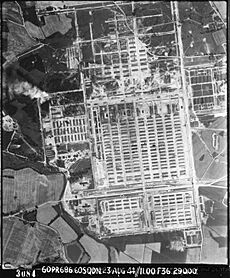 Archivo:Auschwitz aerial view RAF